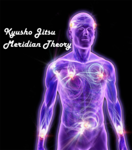 Kyusho Jitsu Meridian Theory