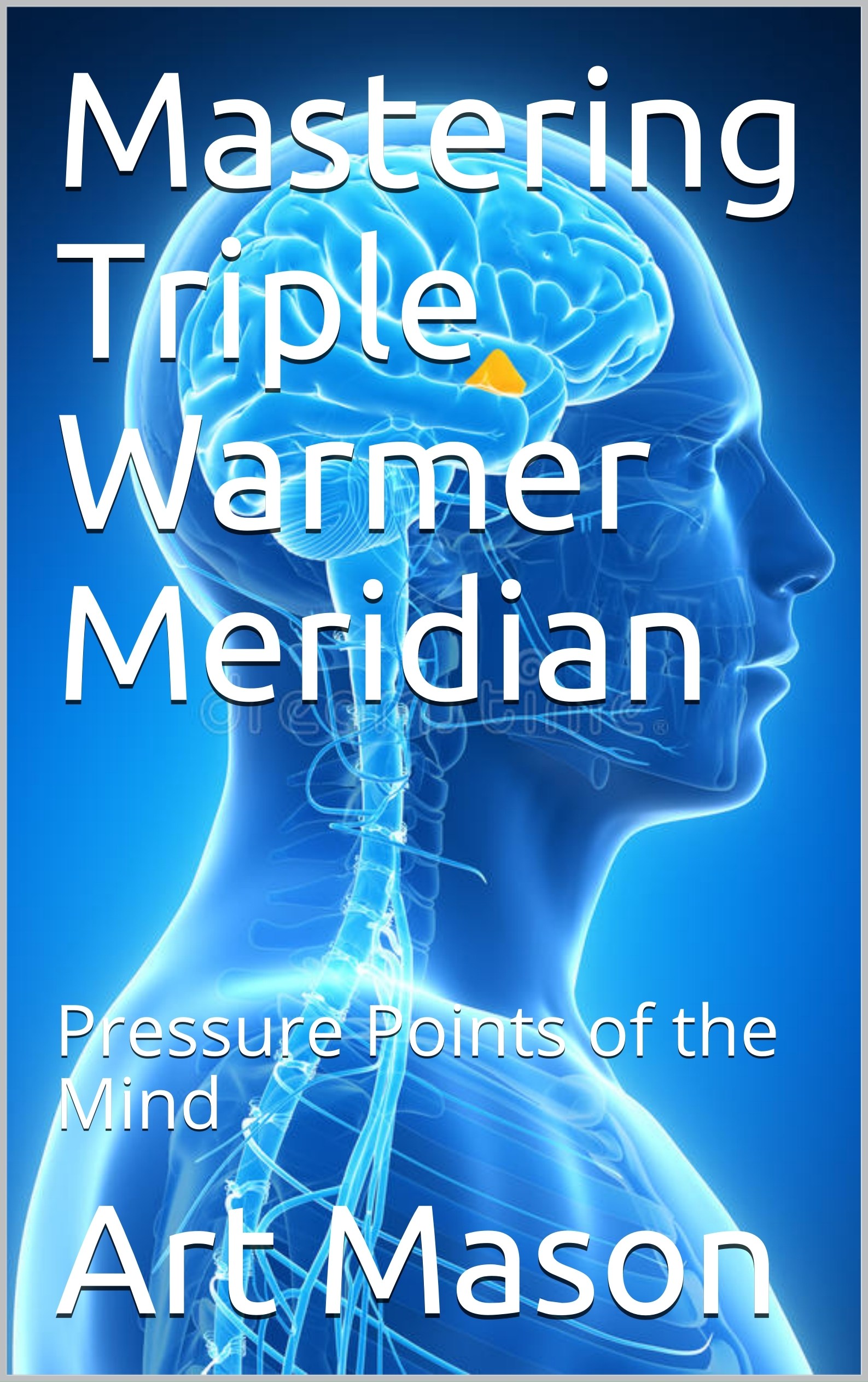 Mastering Triple Warmer Meridian - Pressure Points of the Mind